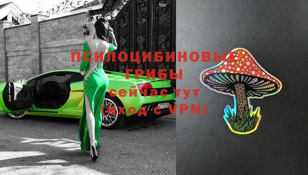 эйфоретик Алексин