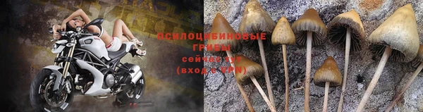 эйфоретик Алексин