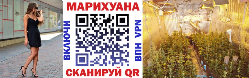 купить наркотики цена  Кувшиново  Каннабис семена 